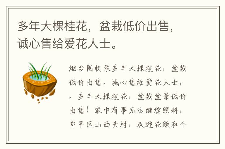 多年大棵桂花，盆栽低價出售，誠心售給愛花人士。